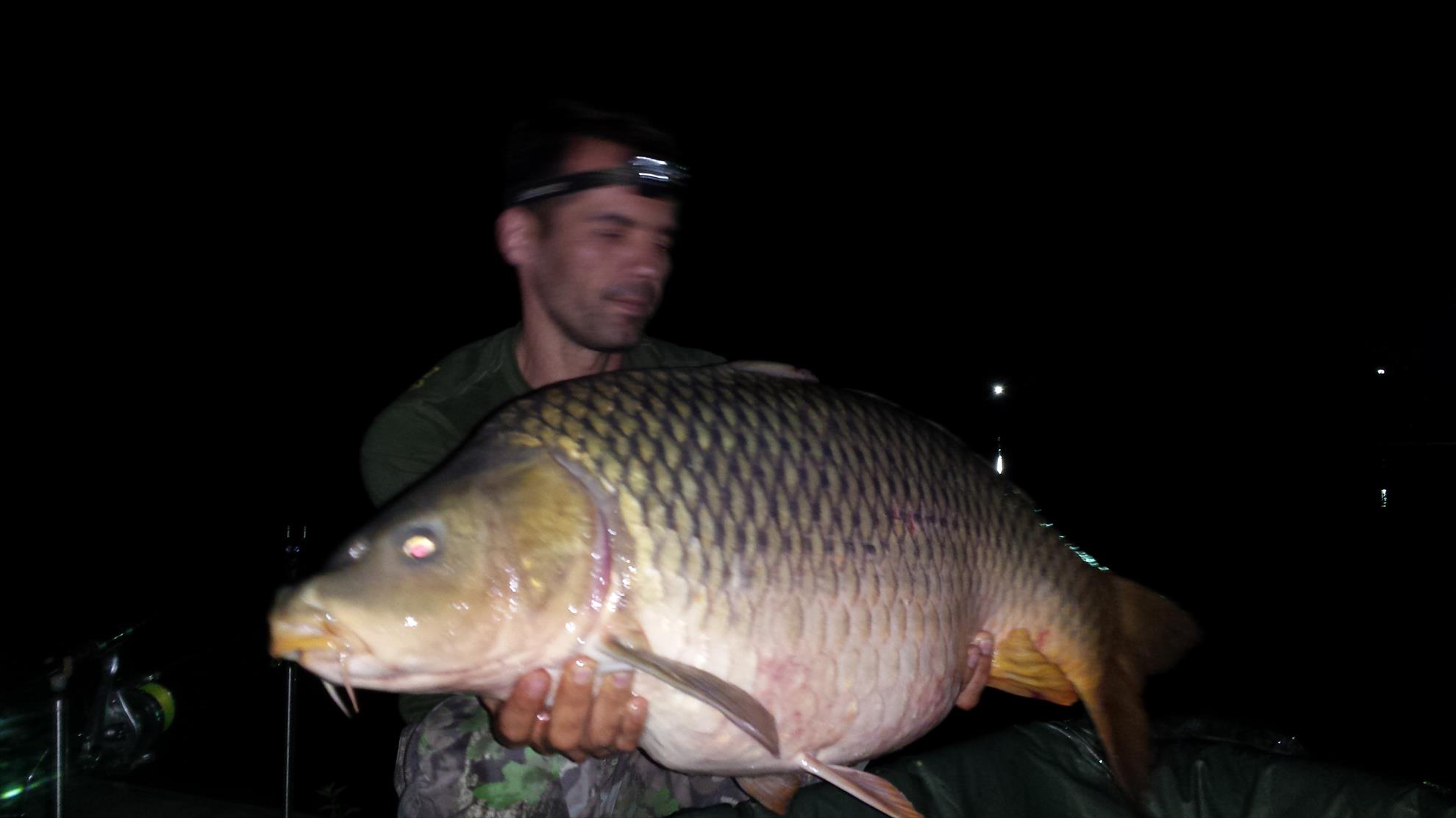 Moara Vlasiei 2 28 - 29 august 2015 - 201508290054411.jpg